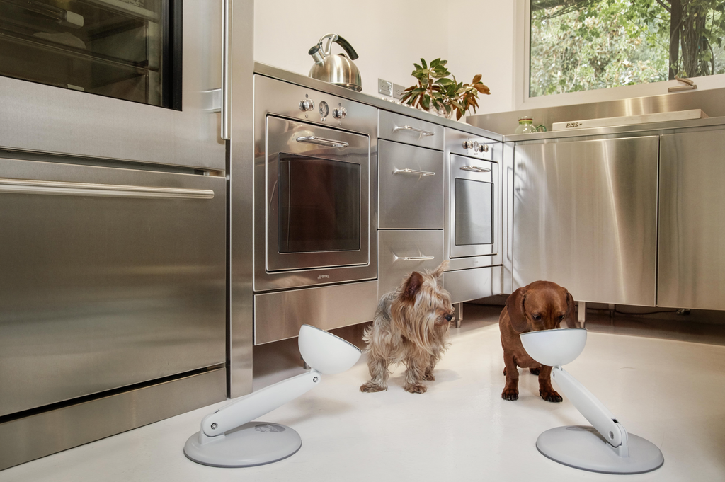 5 Ways Elevated Feeding Bowls Contribute to Pet Wellness