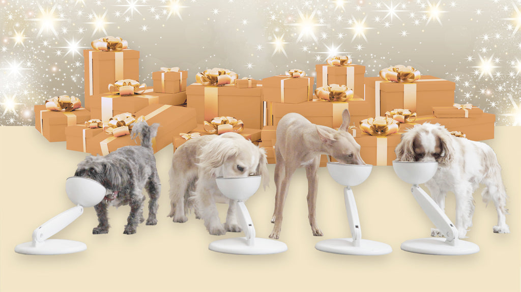 JoviBowl - The Ultimate Holiday Gift For Pets